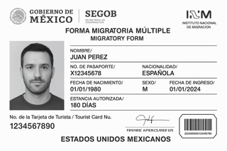 Sample Mexico Tourist Card
