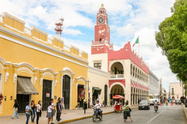 Merida New Img