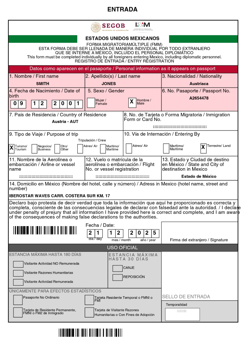 Mexico eVisa Approval Document