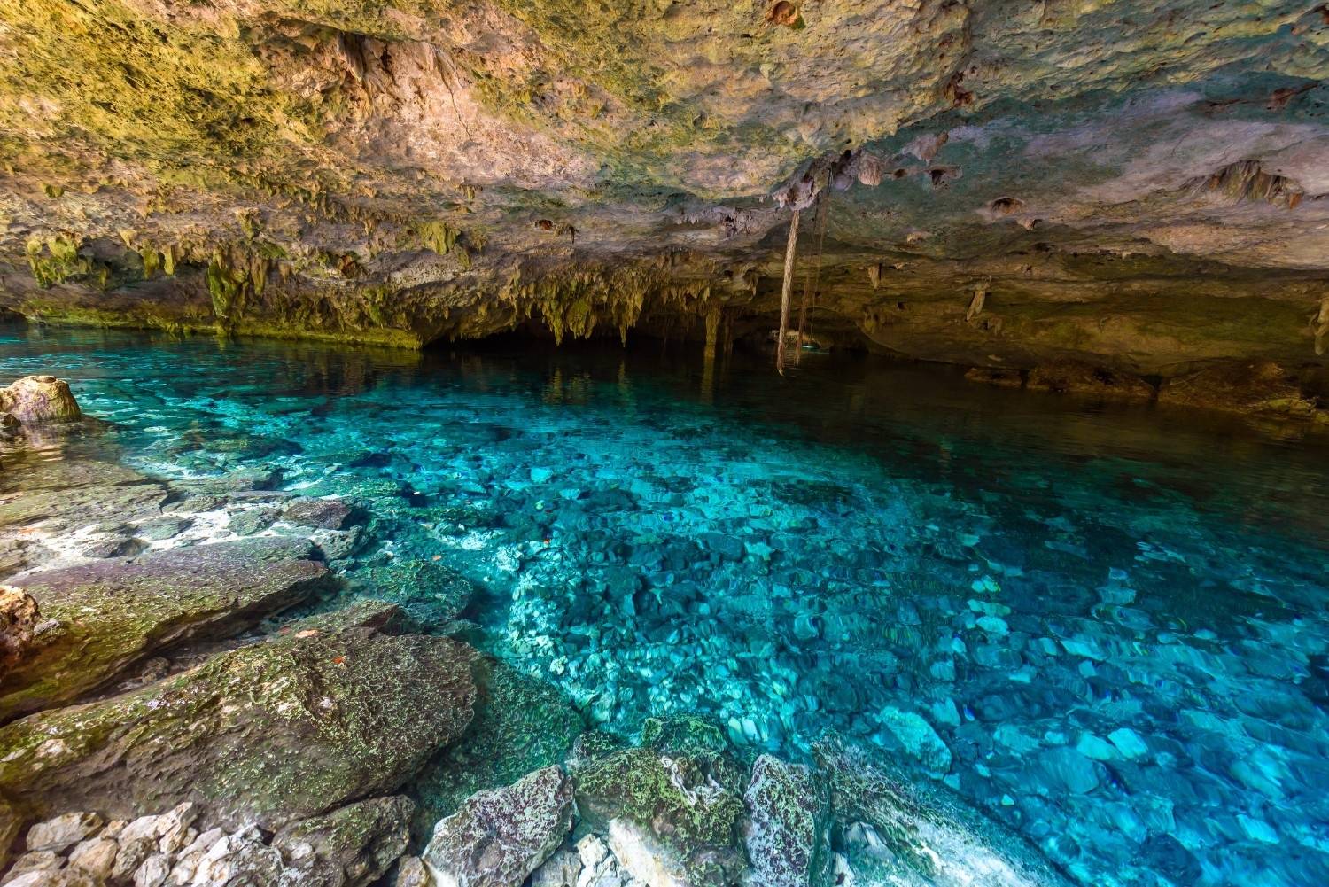 Cenote Dos Ojos in Quintana Roo