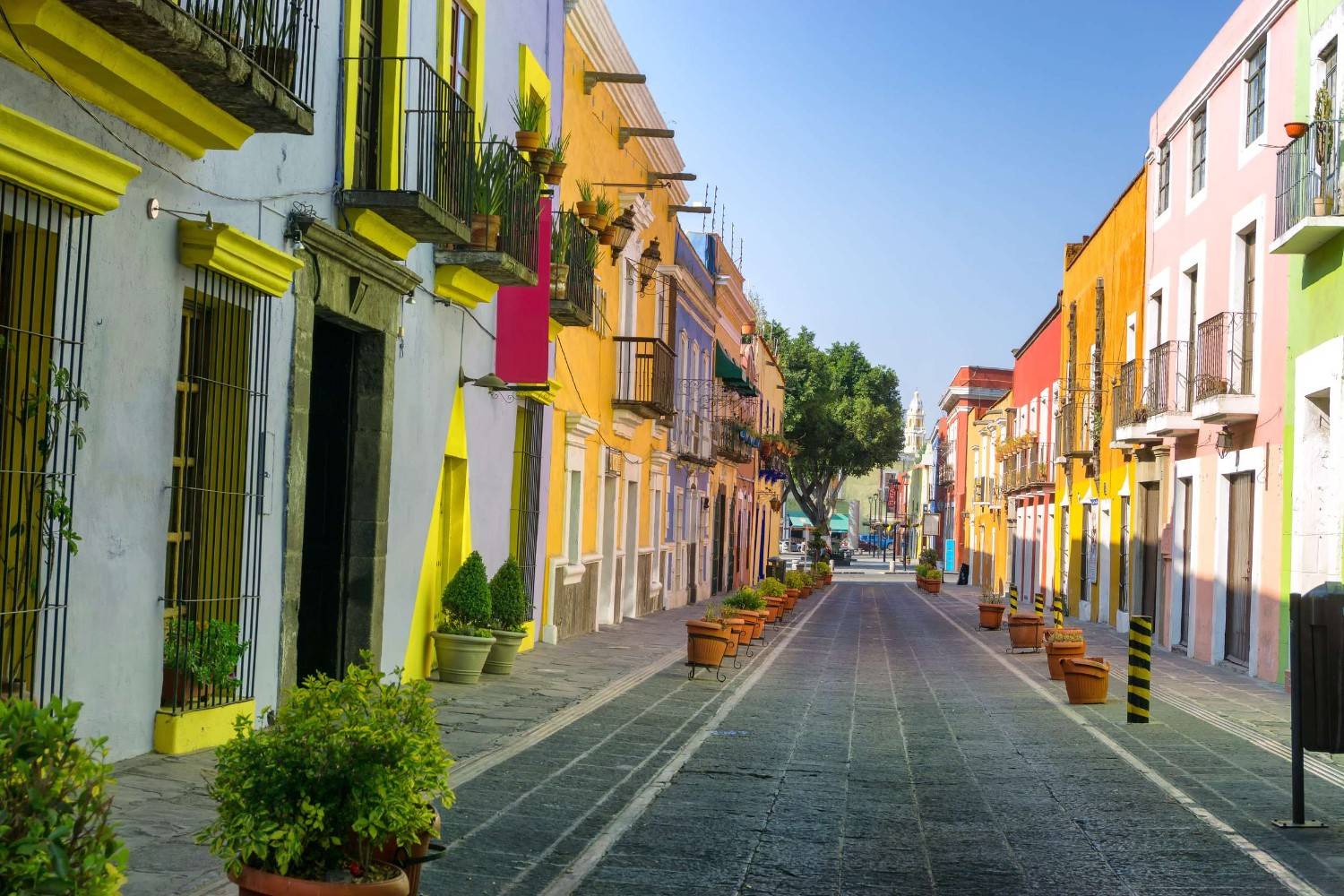 Coluorful Street In Puebla
