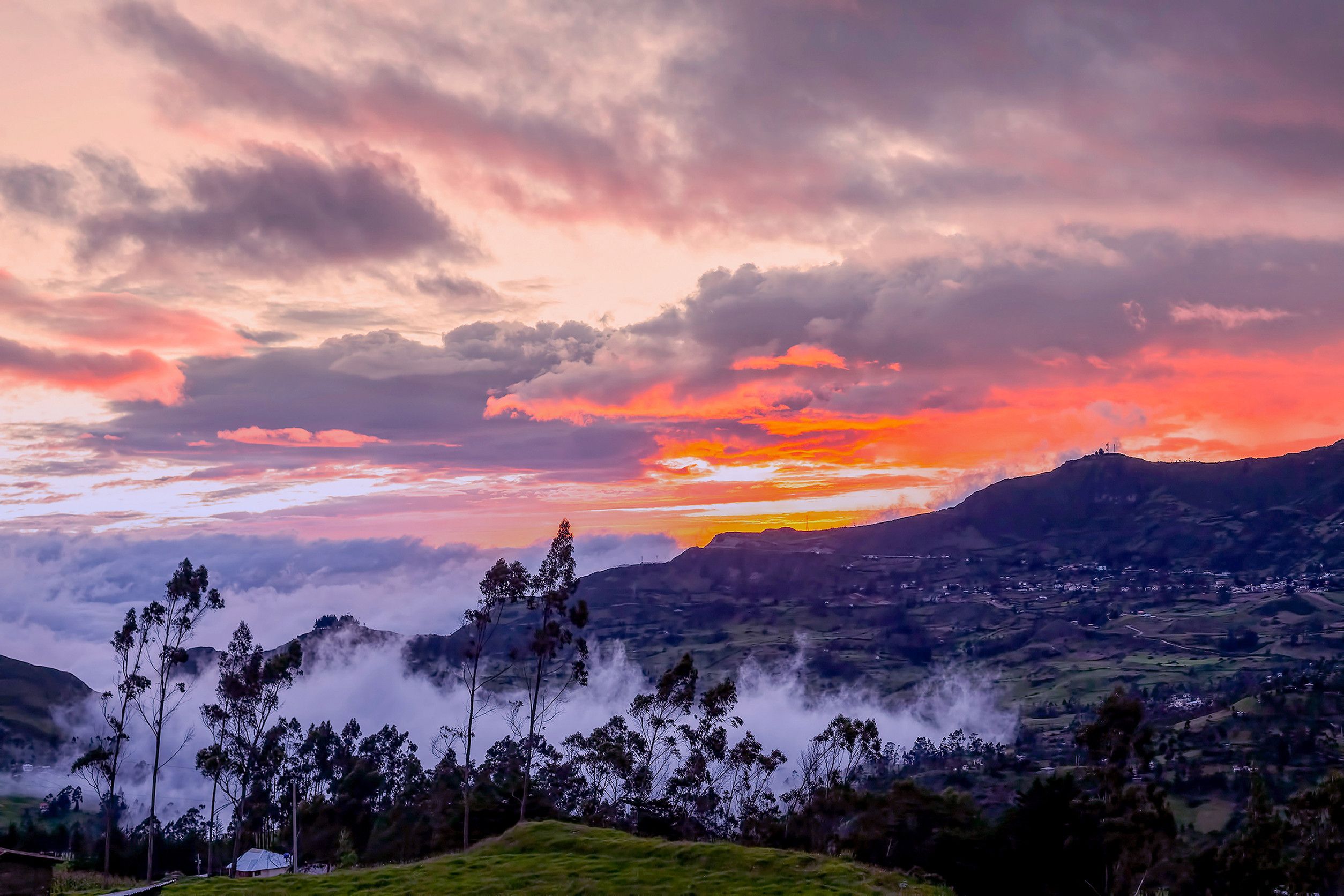 Ecuador