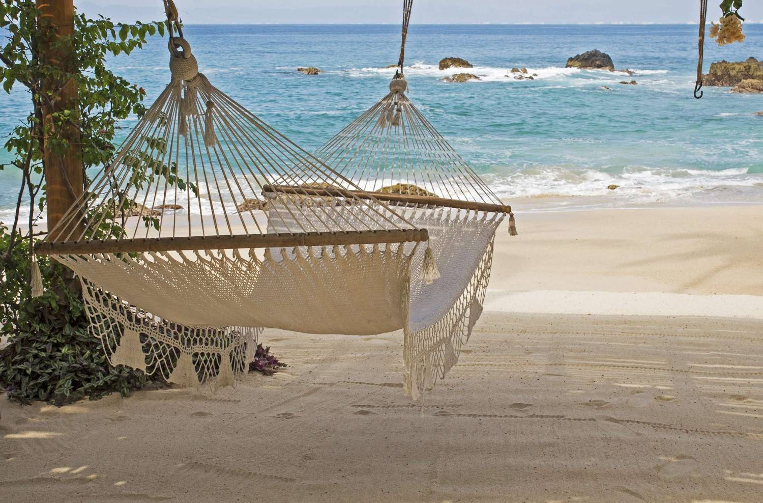 Hammock By The Beach In Puerto Vallarta