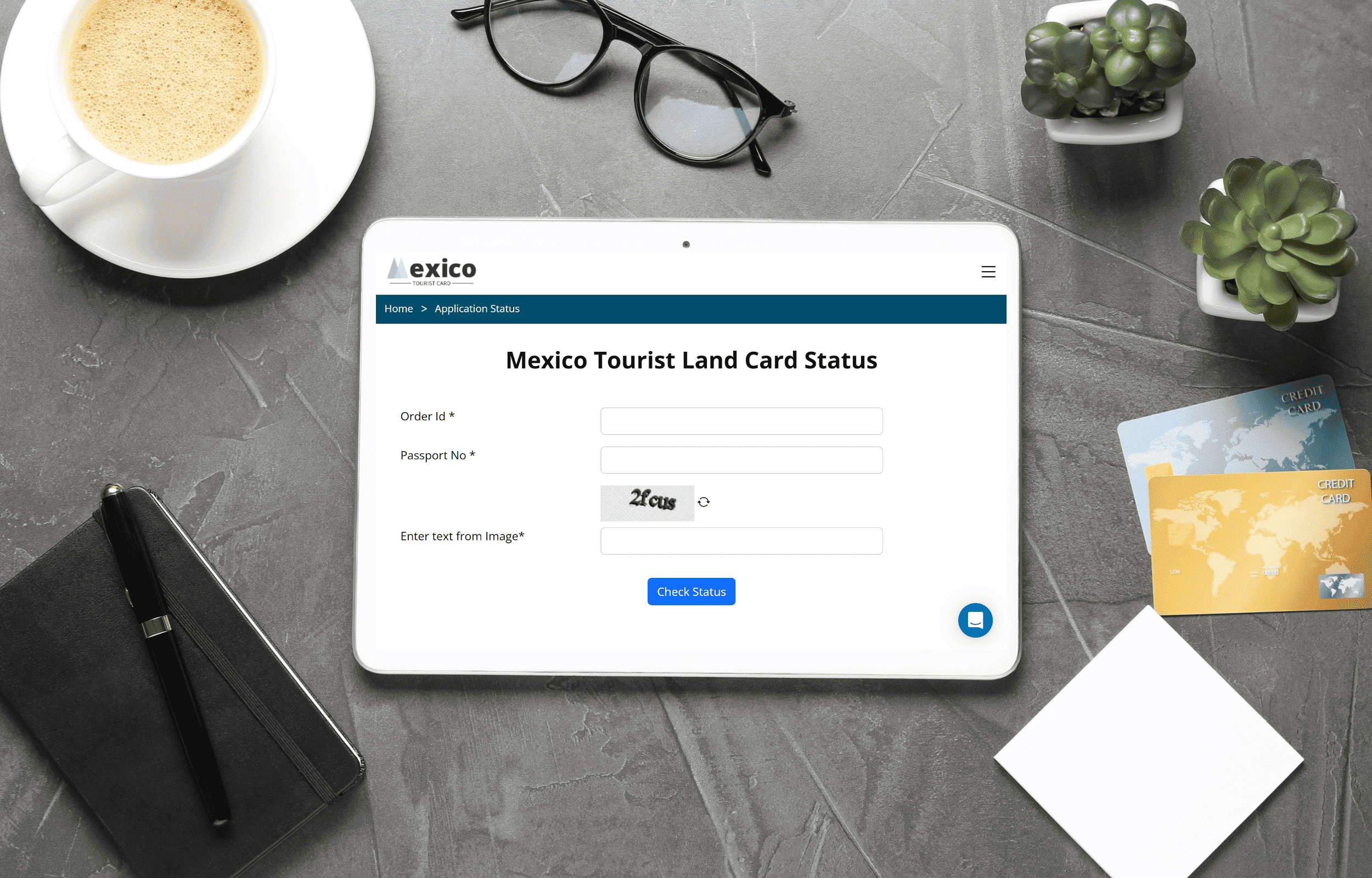 Mexico Application Status Mexico Application Status