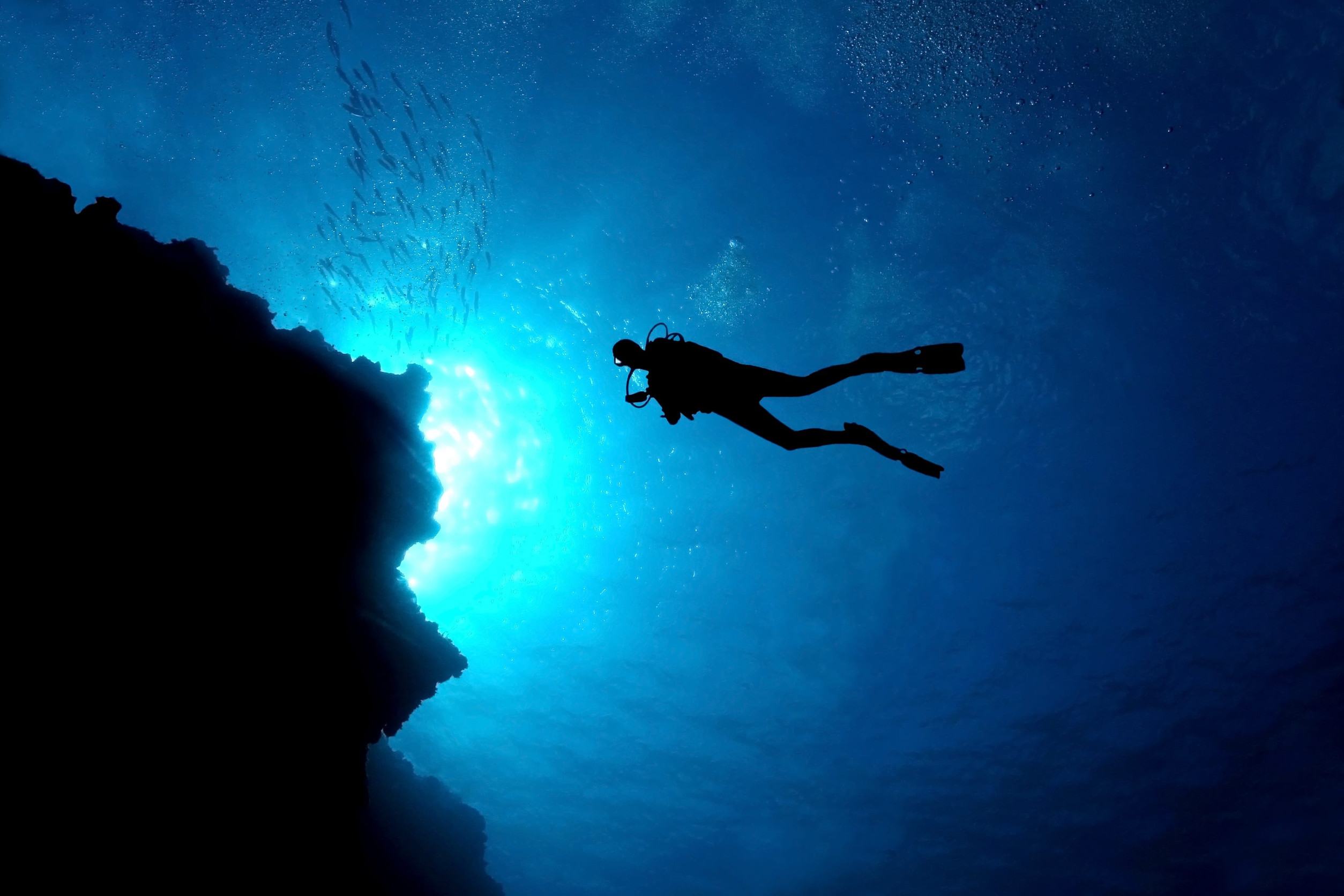 Scuba Diver In Cozumel