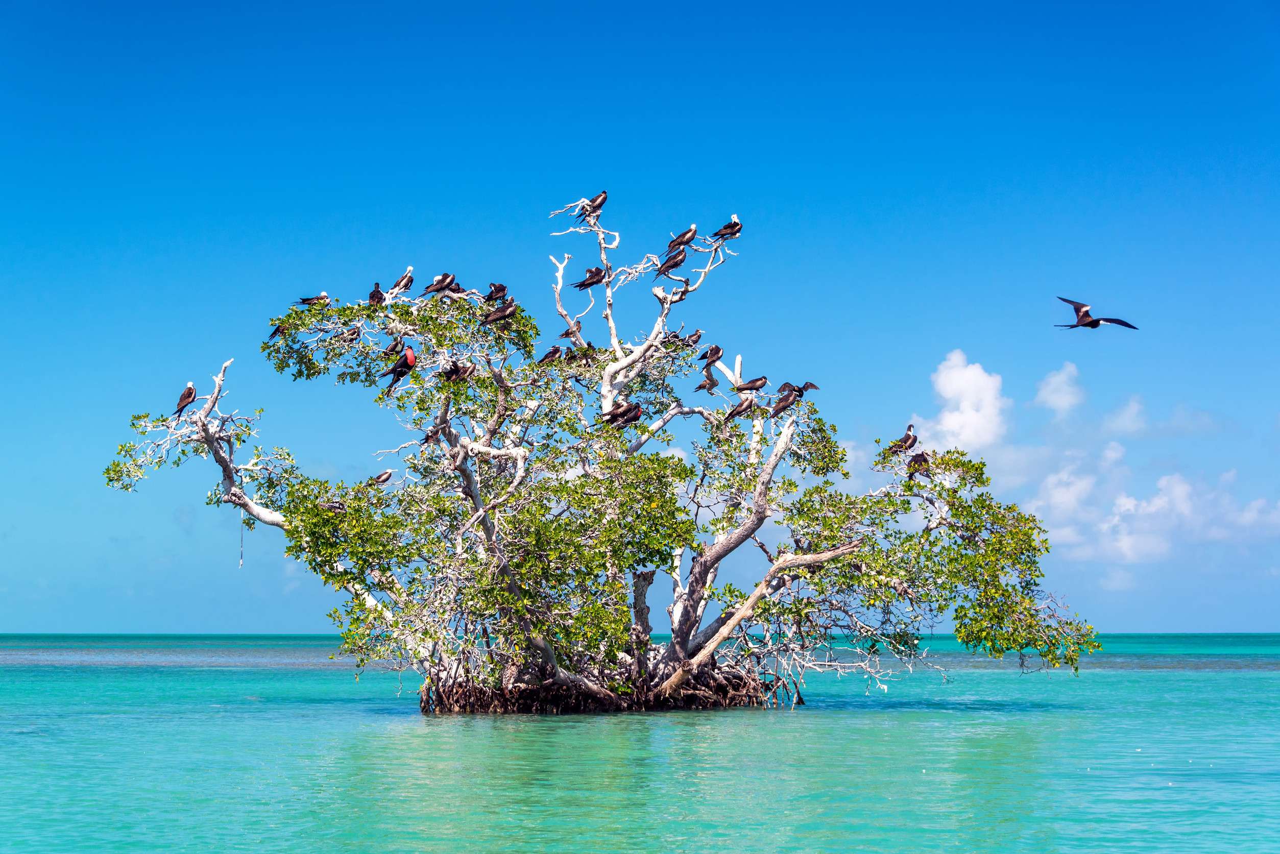 Sian Kaan Biosphere Reserve In Mexico