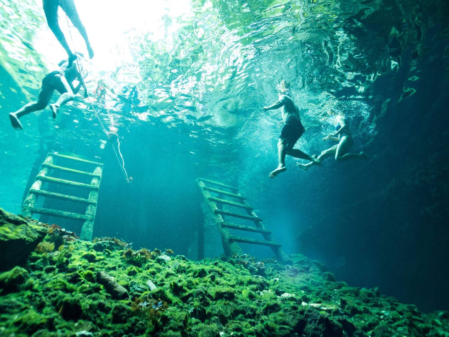 Tourists Swimming In Gran Cenote Mexico